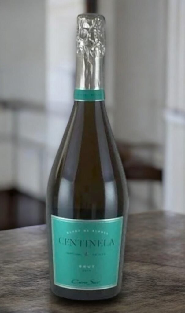 Cono Sur คืออะไร?