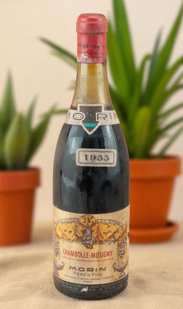Morin Père et Fils 1955 Chambolle-Musigny รีวิวเชิงลึก 📝🍇