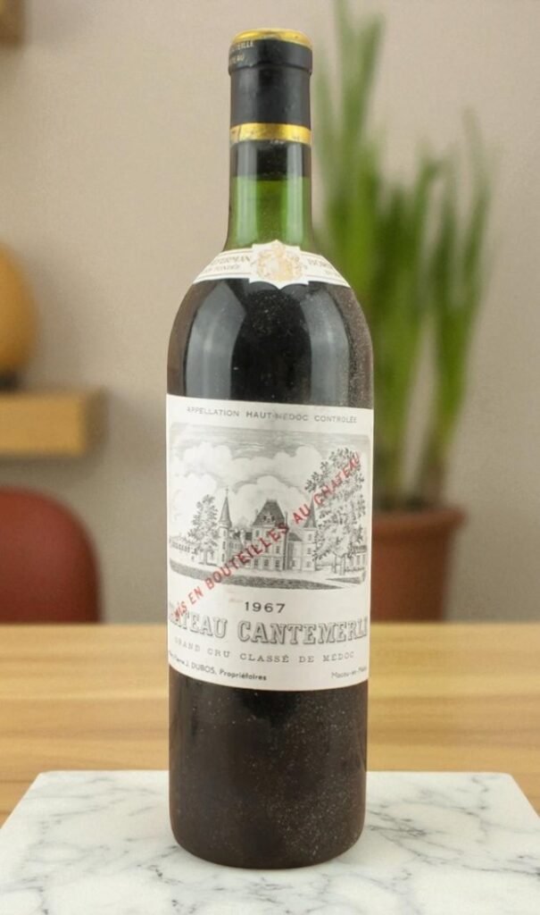 Vintage Bordeaux Wine Reviews 📝