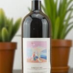 ไวน์แดง Piedmont 1995 เก็บรักษาอย่างมืออาชีพ 🗄️🍷