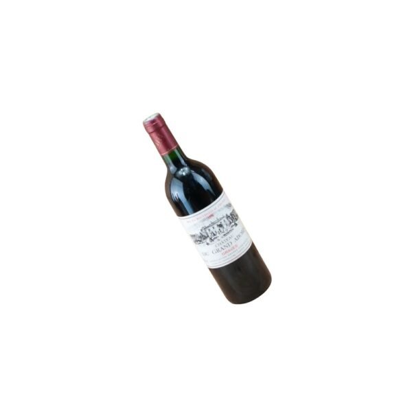 การเก็บรักษา 1996 Château du Grand Abord อย่างเหมาะสมควรทำอย่างไร?
