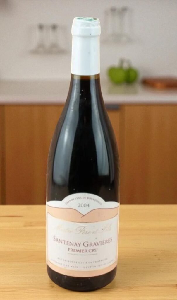 2004 Santenay 1er Cru Gravieres 🍷,