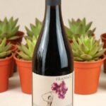 Terre Siciliane Frappato คืออะไร?