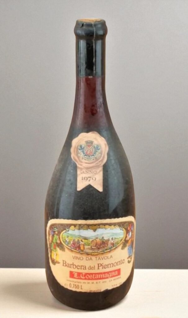 1979 Barbera del Piemonte Costamagna สินค้านำเข้า