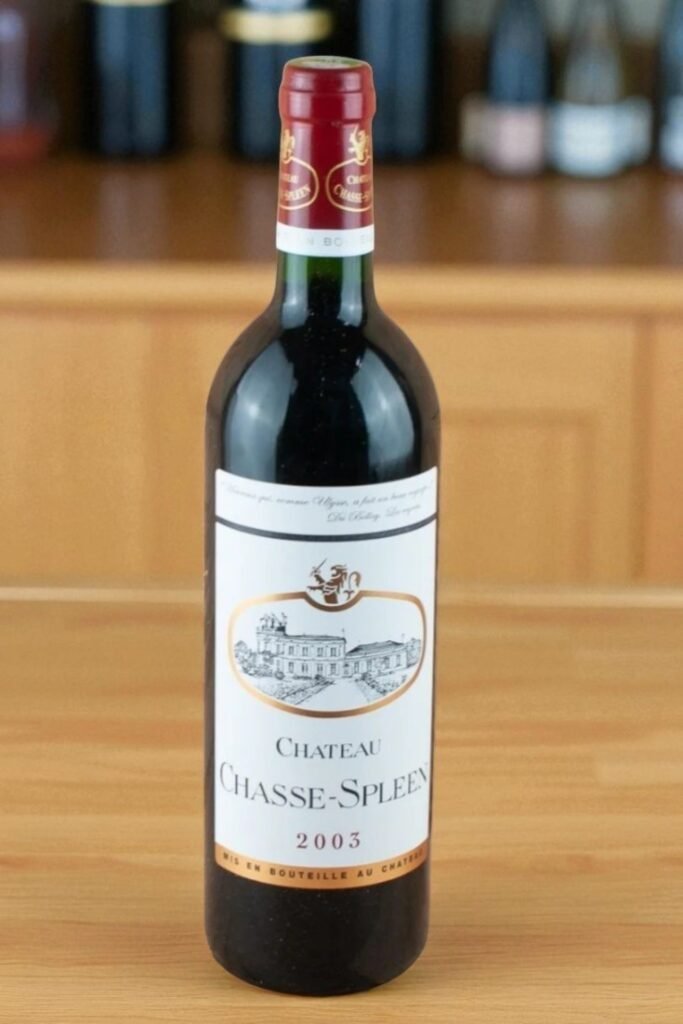 2003 Chateau Chasse Spleen 🍷,