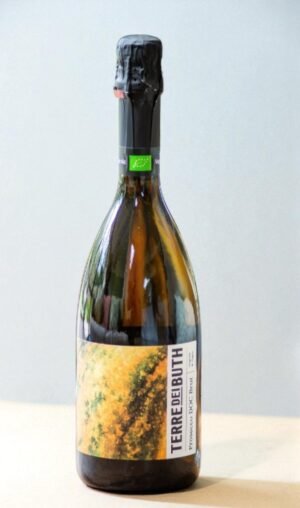 liquoreval-Photoroom-2024-11-13T192359-Photoroom-3-Photoroom Terre dei Buth Prosecco Extra Dry DOC